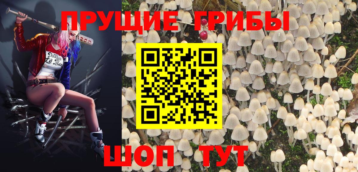 Галлюциногенные грибы Cubensis  Вход с VPN  Клин  Галлюциногенные грибы MAGIC MUSHROOMS 